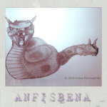 Anfisbena-Man of pong