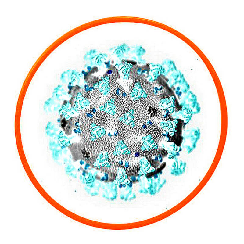 Coronavirus Trascendentale
