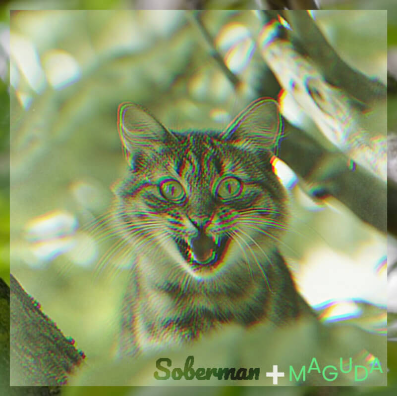 Met Cat