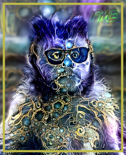 Cool Monkey