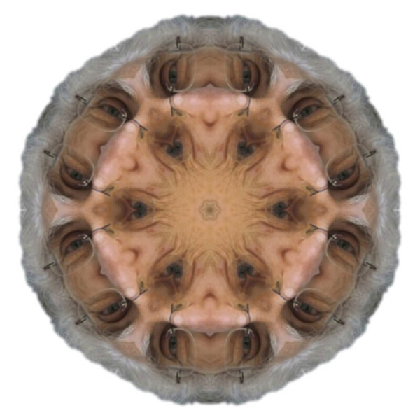 V1