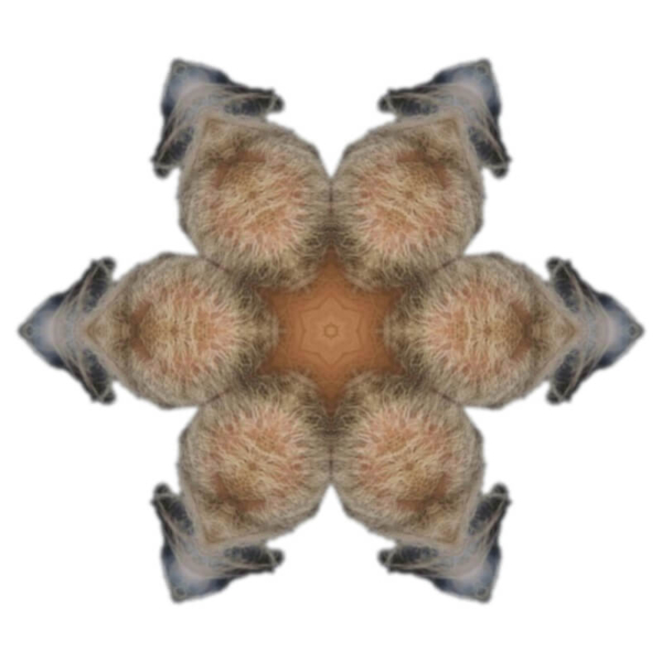 V5