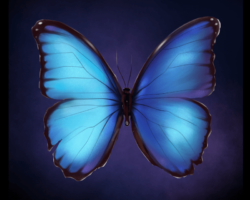 METAMORPHOSIS