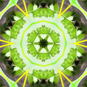 DdVèuV