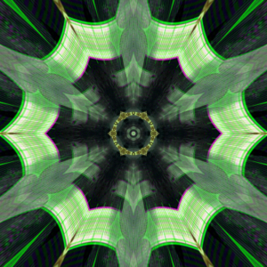 Spin