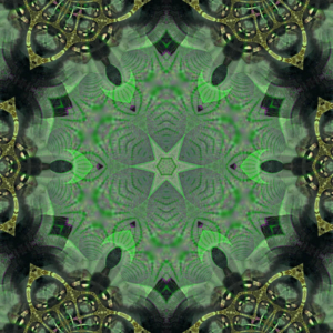 Spin