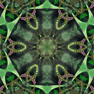 Spin